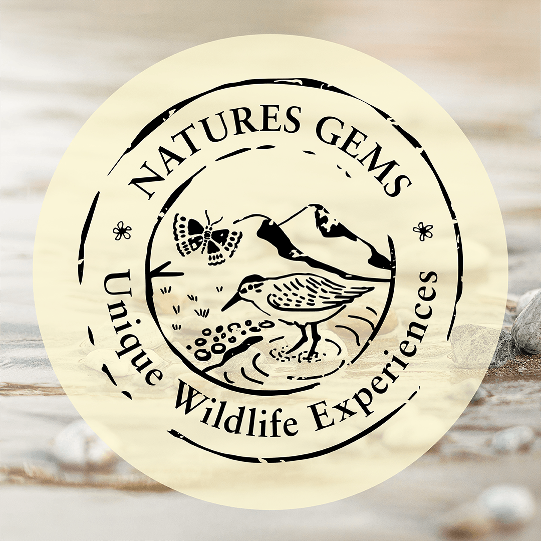 Natures Gems Tours logo on a transparent background over a water bird image