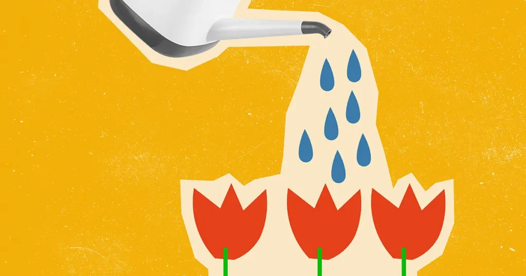 Collage of a watering can watering a row of red tulips for #designtips article The Green Claims Code