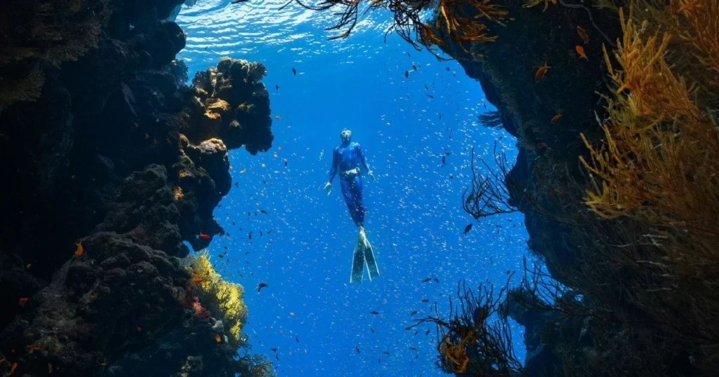 Diver swimming upwards between two coral towers for #designtips article Improve the Brand Experience of your business in 2024