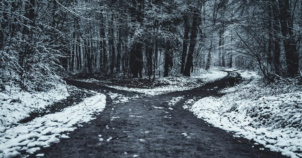 Road through a snow covered forest, forking into two directions for #designtips blog article Choosing your Good Business Name