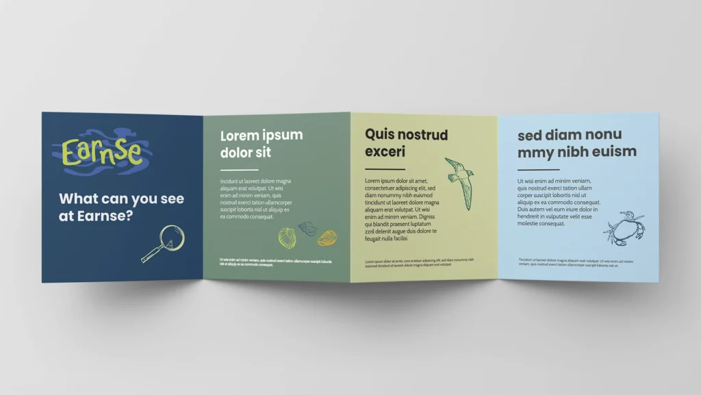 Fold-out square brochure showcasing items children can discover along Earnse Beach