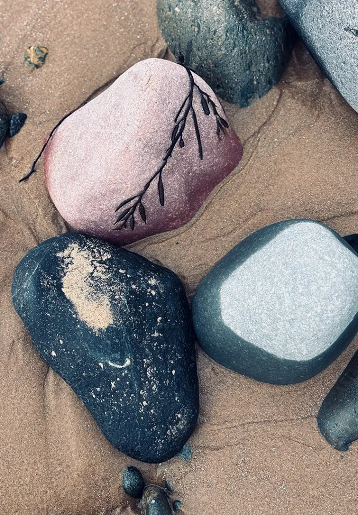lose-up of multicoloured pebbles on Earnse Beach, part of the Earnse brand design visuals